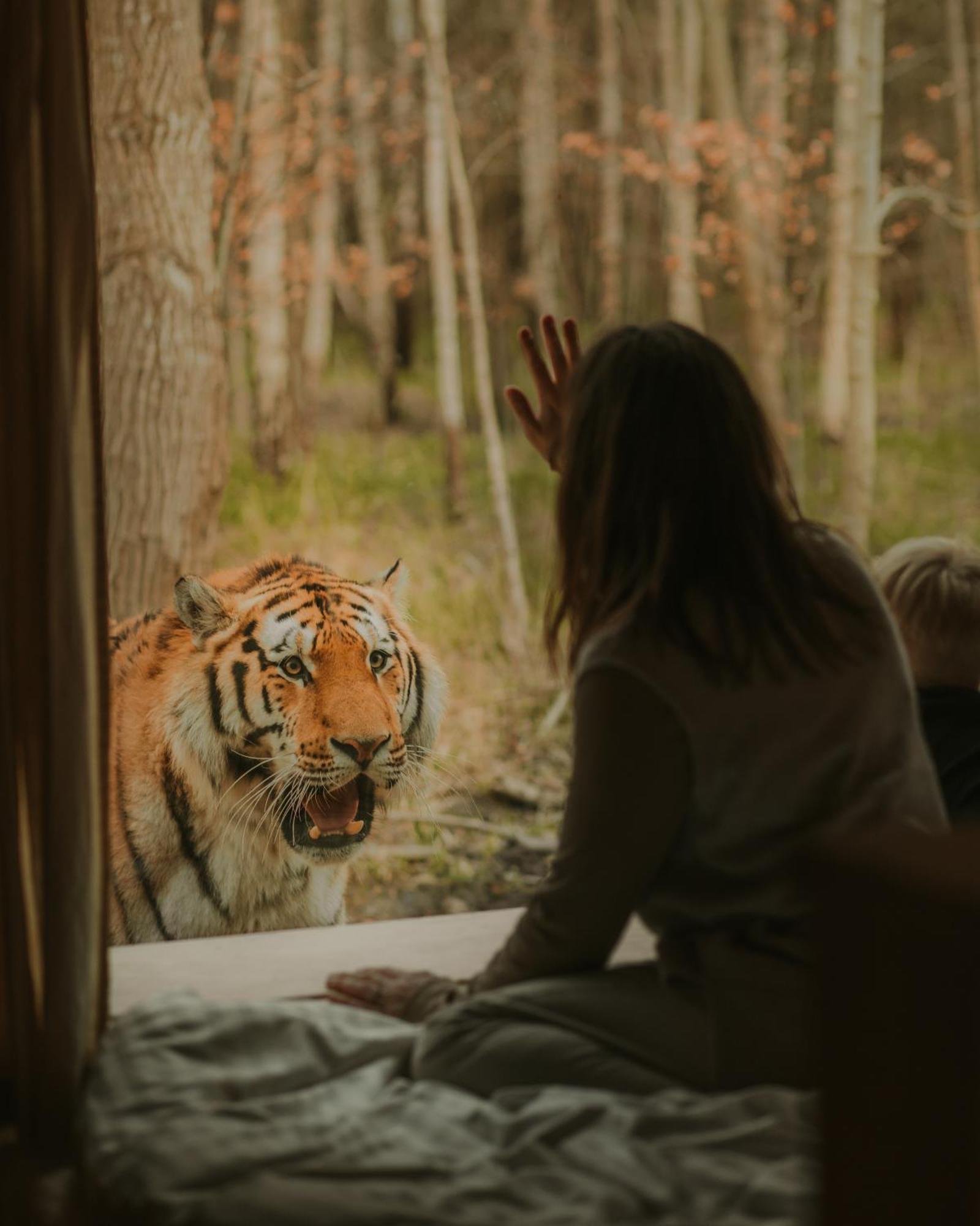 ホテル Knuthenborg Safaripark マリボ エクステリア 写真