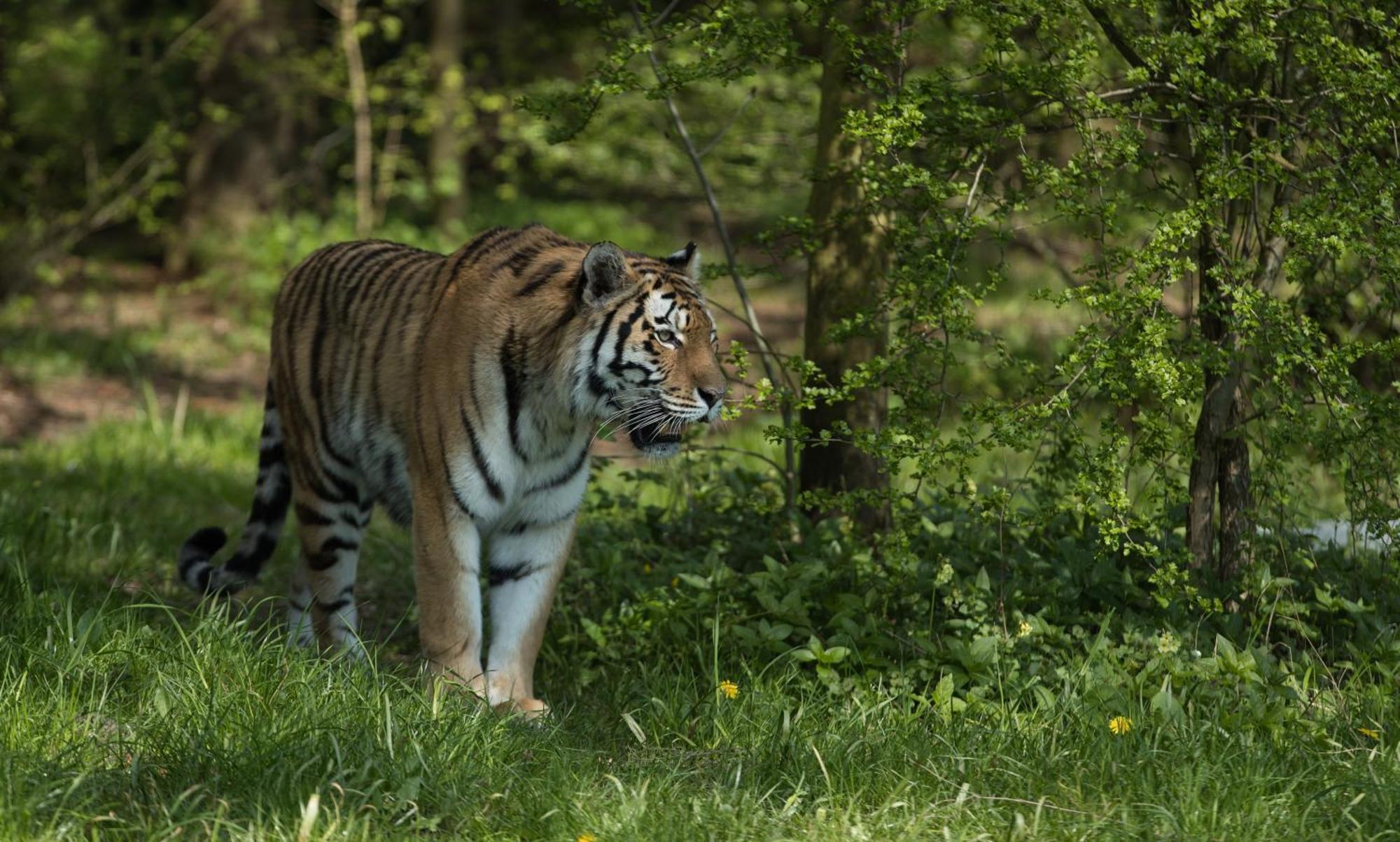 ホテル Knuthenborg Safaripark マリボ エクステリア 写真