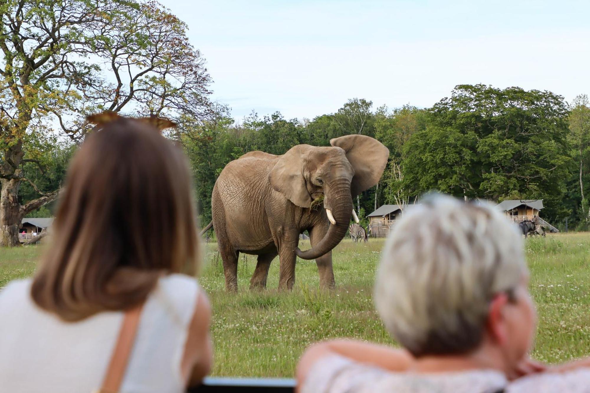 ホテル Knuthenborg Safaripark マリボ エクステリア 写真