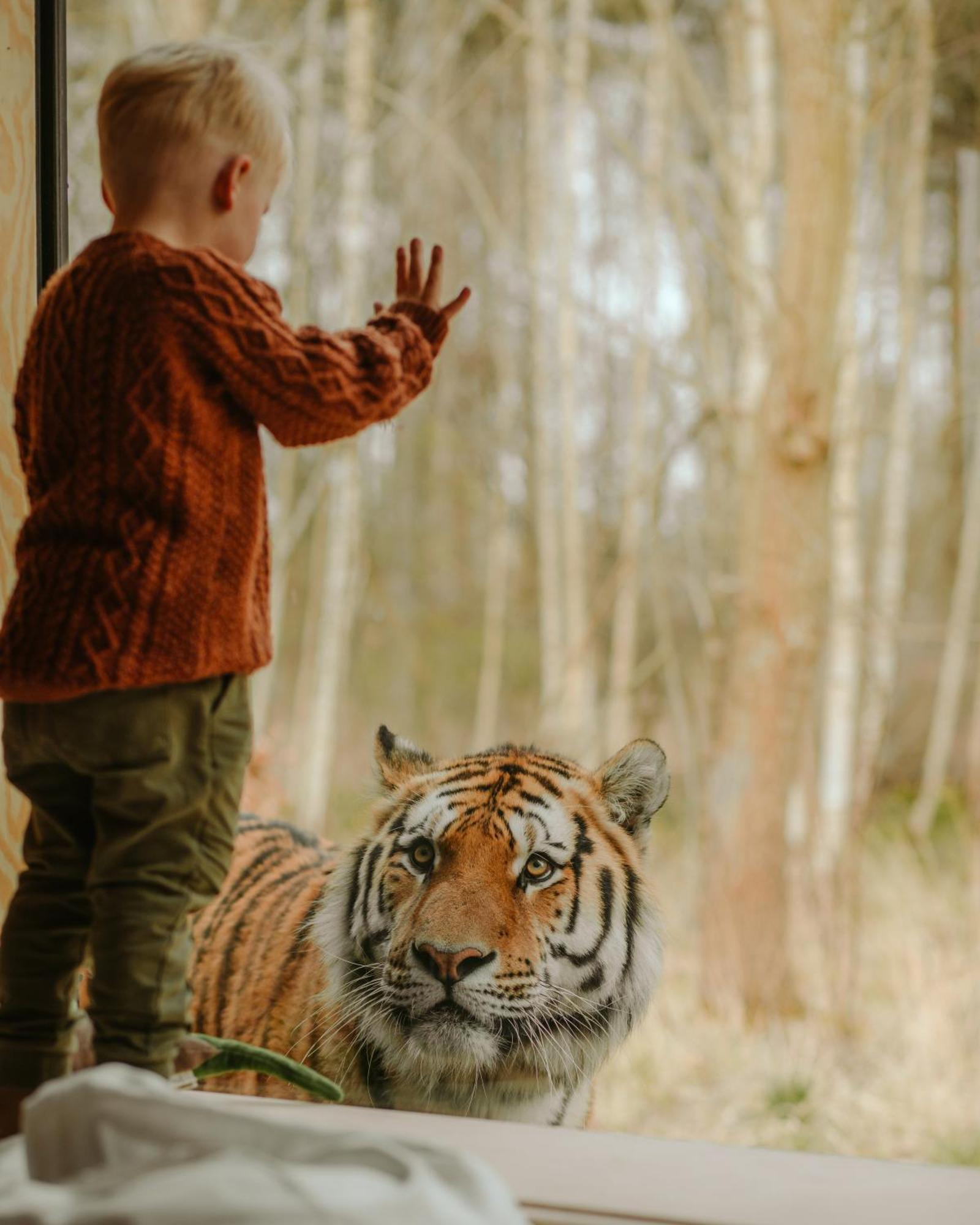 ホテル Knuthenborg Safaripark マリボ エクステリア 写真