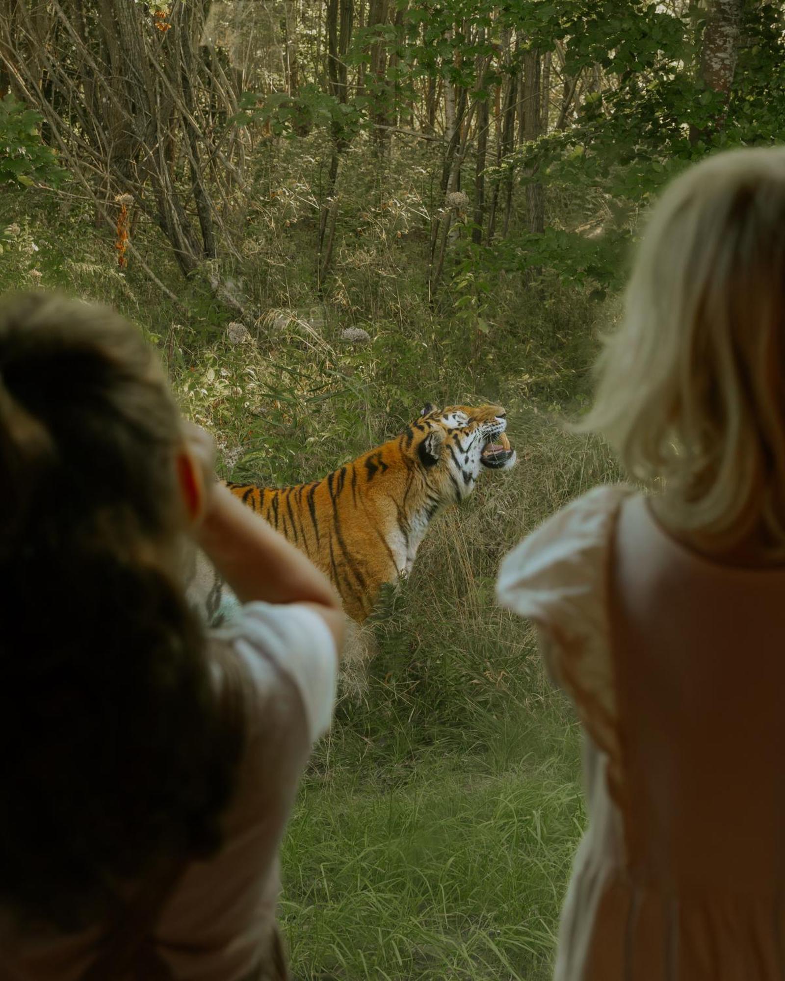 ホテル Knuthenborg Safaripark マリボ エクステリア 写真