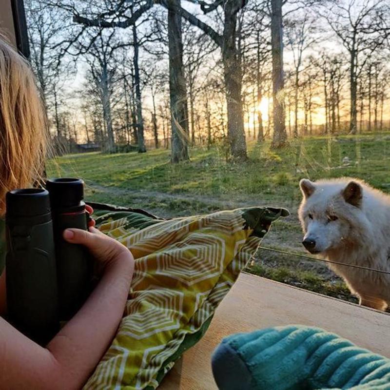 ホテル Knuthenborg Safaripark マリボ エクステリア 写真