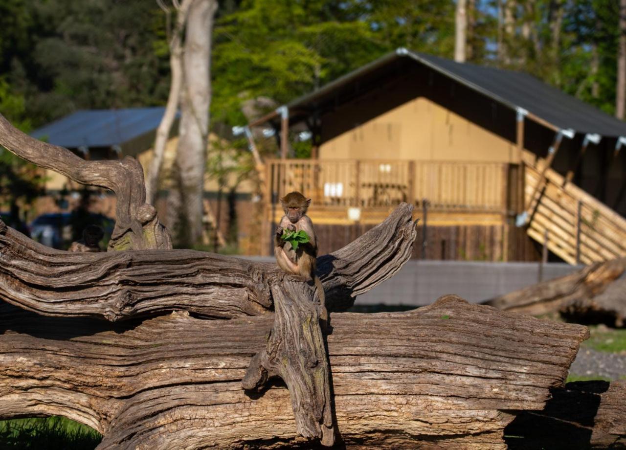 ホテル Knuthenborg Safaripark マリボ エクステリア 写真