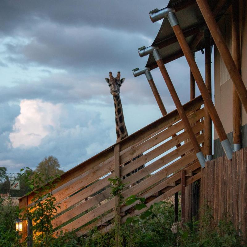 ホテル Knuthenborg Safaripark マリボ エクステリア 写真